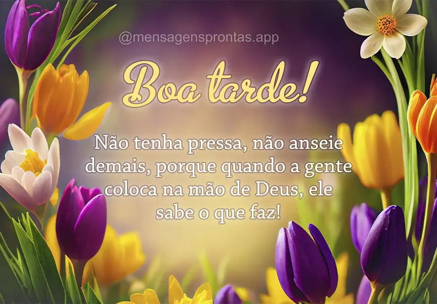 Não tenha pressa, não anseie demais, porque quando a gente coloca na mão de Deus, ele sabe o que faz! Boa tarde! 