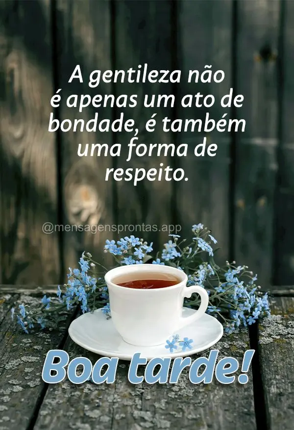 A gentileza não é apenas um ato de bondade, é também uma forma de respeito. Boa tarde! 