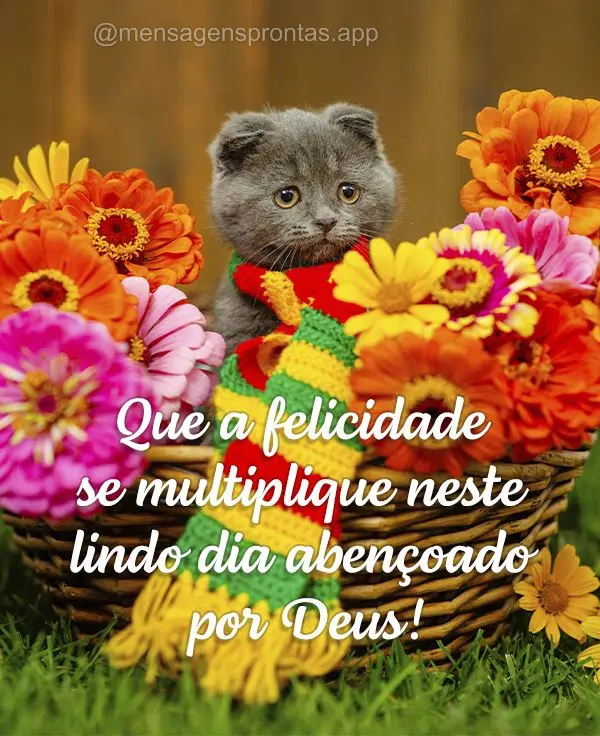 Que a felicidade se multiplique neste lindo dia abençoado por Deus!