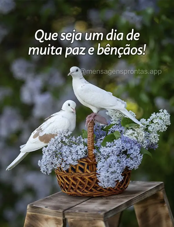 Que seja um dia de muita paz e bênçãos!