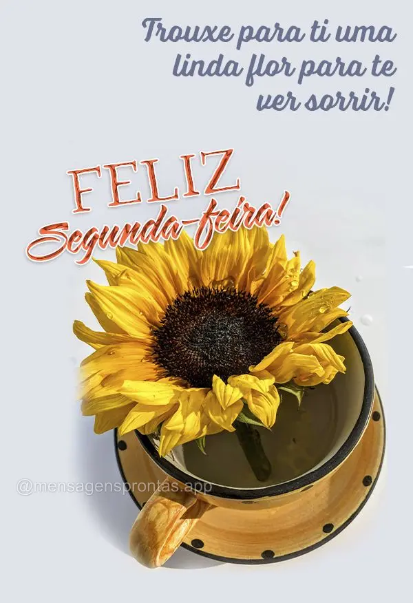 Trouxe para ti uma linda flor para te ver sorrir! Feliz Segunda-feira!