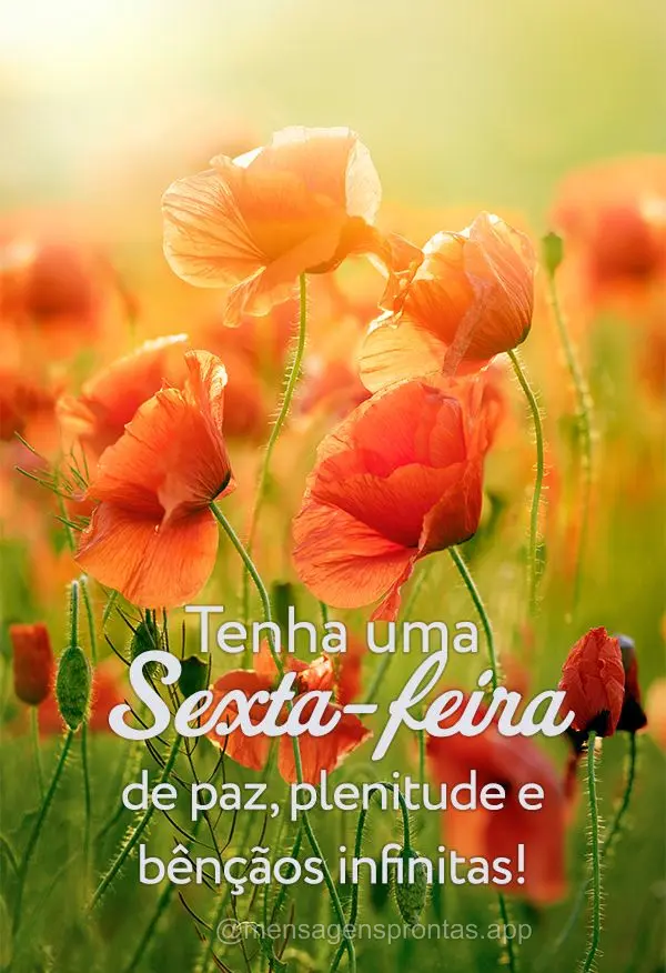 Tenha uma Sexta-feira de paz, plenitude e bênçãos infinitas!