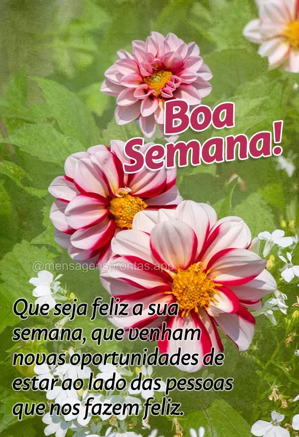 Que seja feliz a sua semana, que venham novas oportunidades de estar ao lado das pessoas que nos fazem feliz. Boa Semana! 