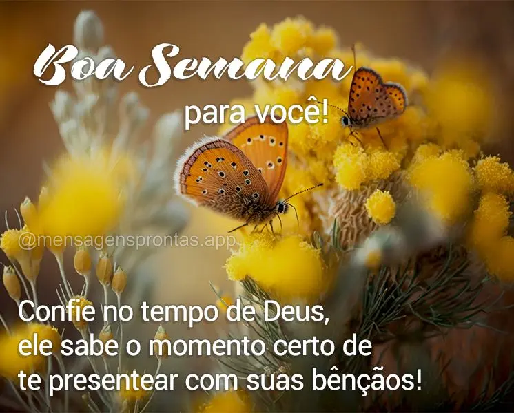 Confie no tempo de Deus, ele sabe o momento certo de te presentear com suas bênçãos! Boa Semana para você! 