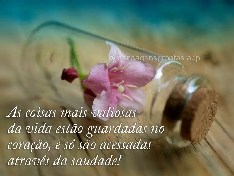 As coisas mais valiosas da vida estão guardadas no coração, e só são acessadas através da saudade!