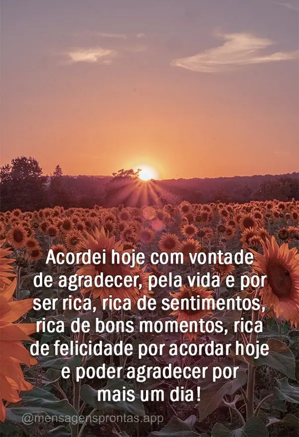 Acordei hoje com vontade de agradecer, pela vida e por ser rica, rica de sentimentos, rica de bons momentos, rica de felicidade por acordar hoje e poder ...