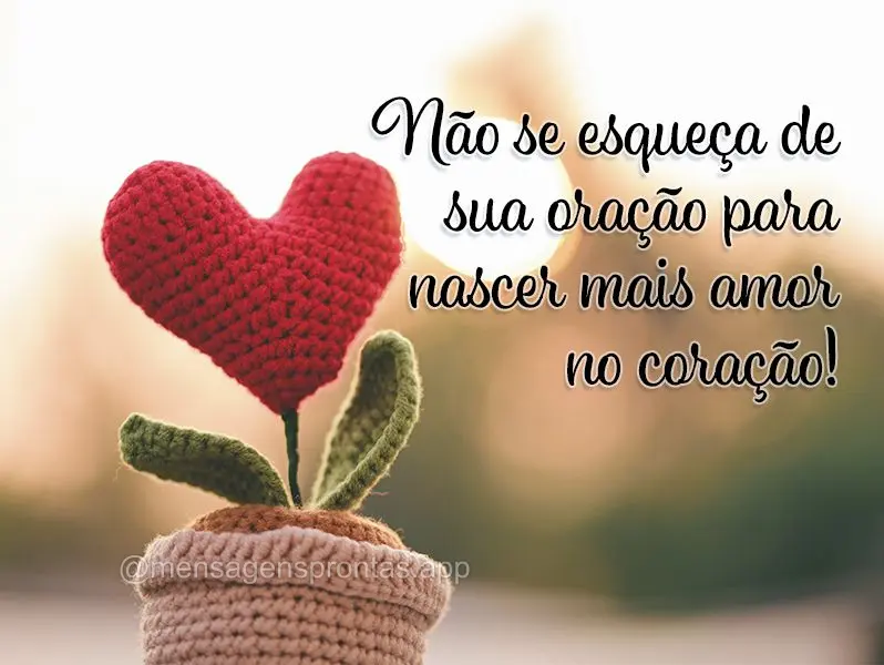 Não se esqueça de sua oração para nascer mais amor no coração!