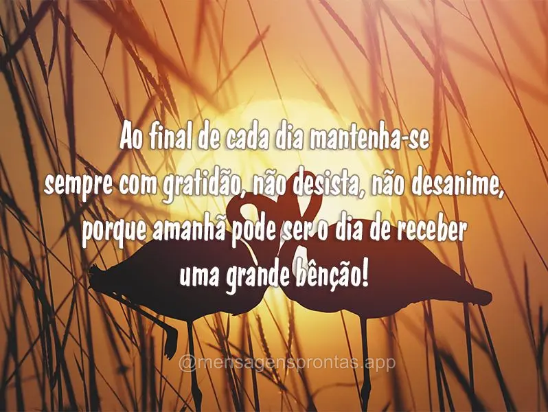 Ao final de cada dia mantenha-se sempre com gratidão, não desista, não desanime, porque amanhã pode ser o dia de receber uma grande bênção!