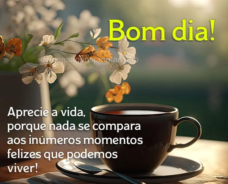 Aprecie a vida, porque nada se compara aos inúmeros momentos felizes que podemos viver! Bom dia!