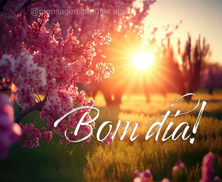 Bom dia!