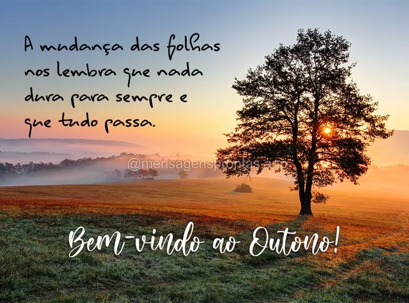 A mudança das folhas nos lembra que nada dura para sempre e que tudo passa. Bem-Vindo ao Outono!