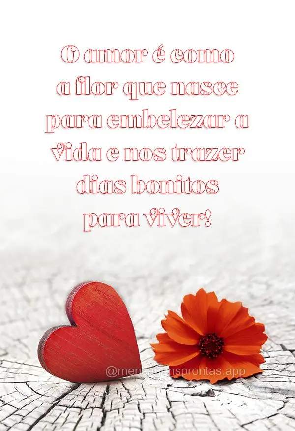 O amor é como a flor que nasce para embelezar a vida e nos trazer dias bonitos para viver!