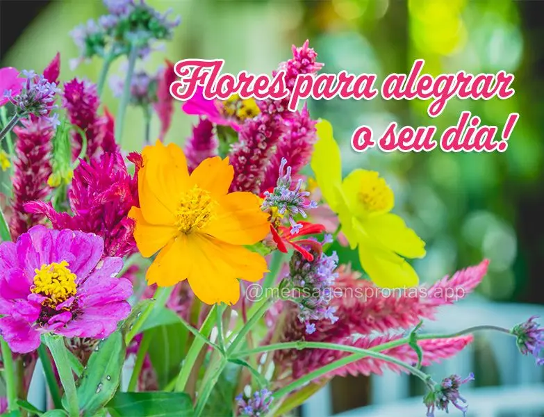 Flores para alegrar o seu dia!