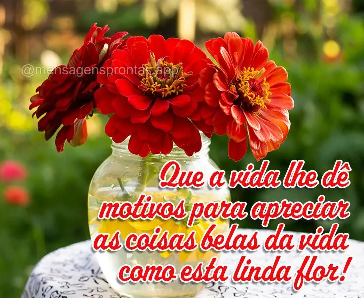 Que a vida lhe dê motivos para apreciar as coisas belas da vida como esta linda flor!