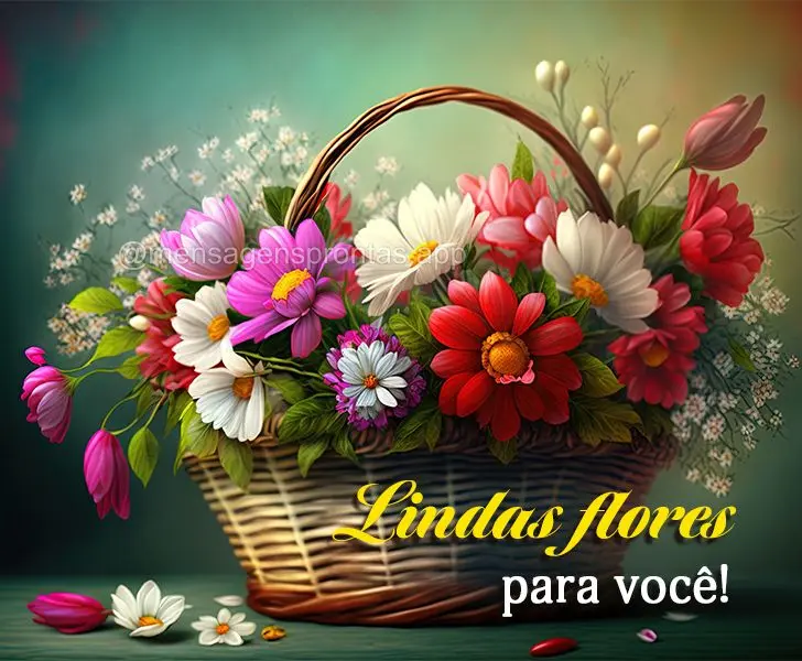 Lindas flores para você!