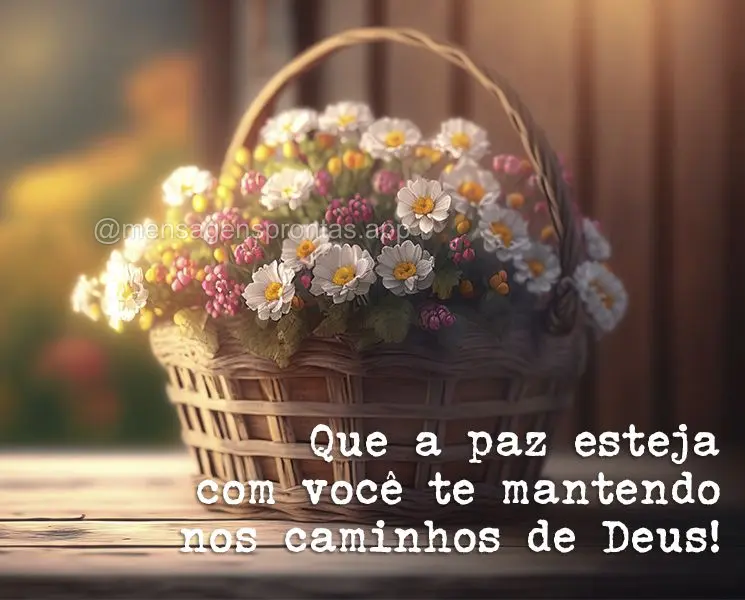 Que a paz esteja com você te mantendo nos caminhos de Deus!