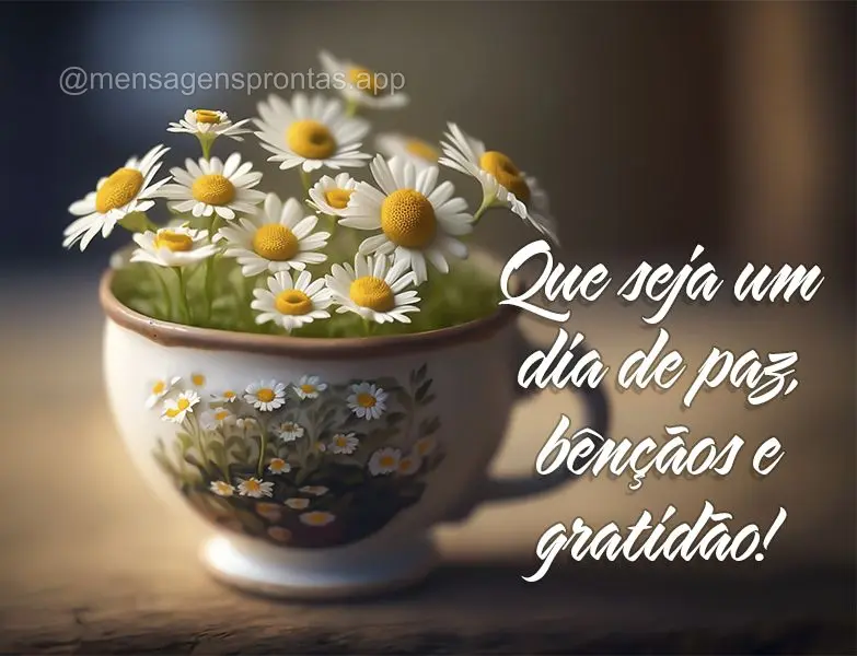 Que seja um dia de paz, bênçãos e gratidão!