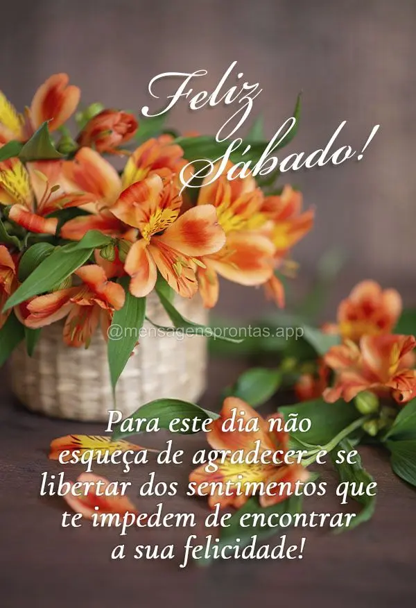 Para este dia não esqueça de agradecer e se libertar dos sentimentos que te impedem de encontrar a sua felicidade! Feliz Sábado! 