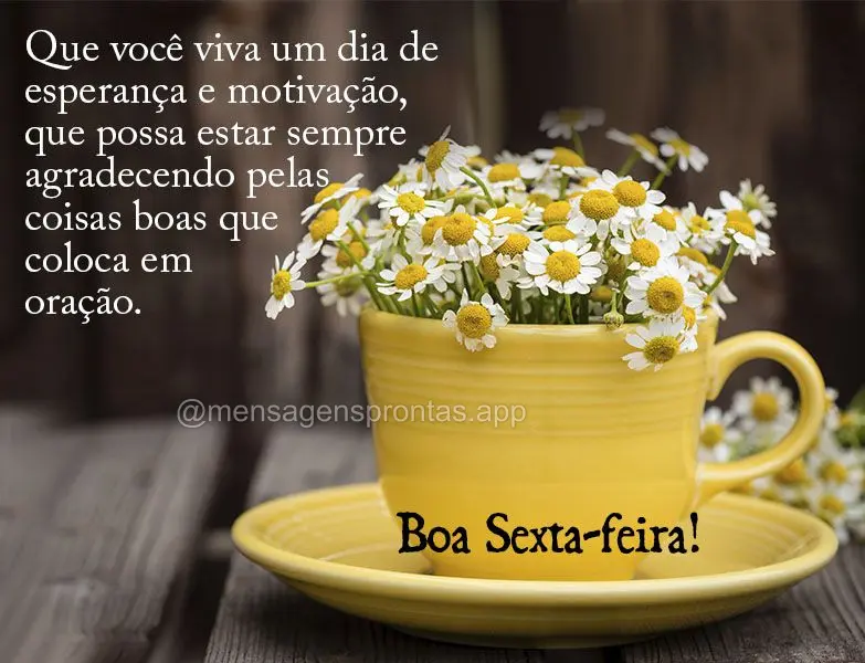 Que você viva um dia de esperança e motivação, que possa estar sempre agradecendo pelas coisas boas que coloca em oração. Boa Sexta-feira!