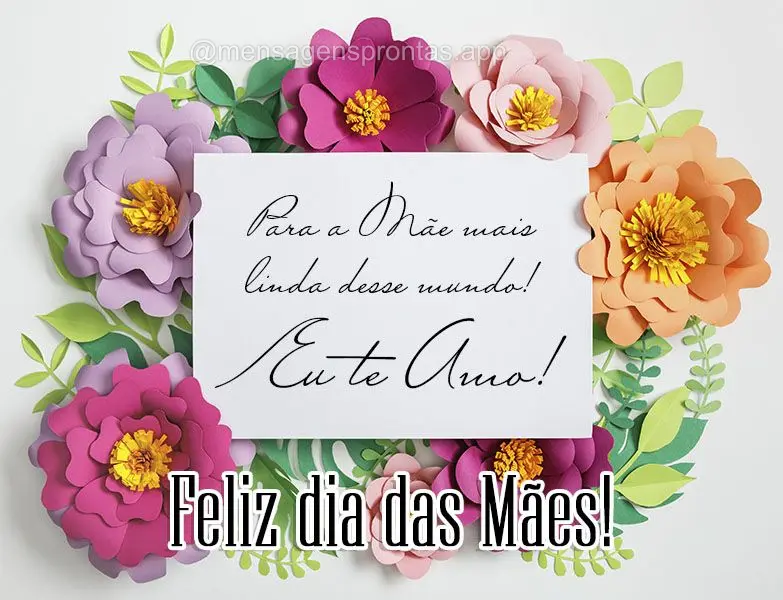 Para a mãe mais linda desse mundo! Eu te amo! Feliz dia dias Mães!