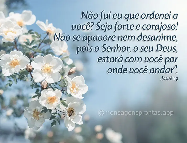 "Não fui eu que ordenei a você? Seja forte e corajoso! Não se apavore nem desanime, pois o Senhor, o seu Deus, estará com você por onde você anda."...