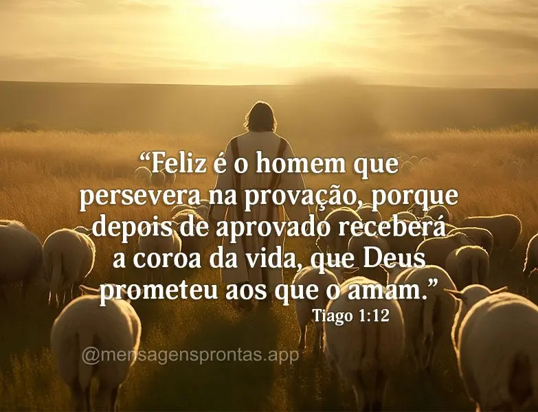 “Feliz é o homem que persevera na provação, porque depois de aprovado receberá a coroa da vida, que Deus prometeu aos que o amam.” Tiago 1:12