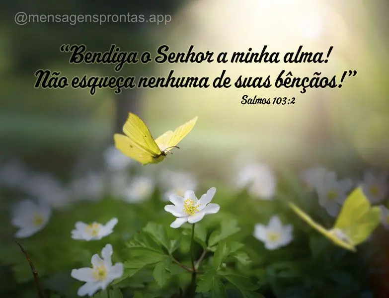 “Bendiga o Senhor a minha alma! Não esqueça nenhuma de suas bênçãos!” Salmos 103:2