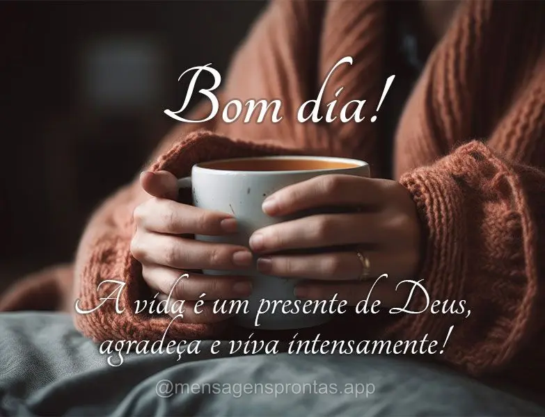 A vida é um presente de Deus, agradeça e viva intensamente! Bom dia!