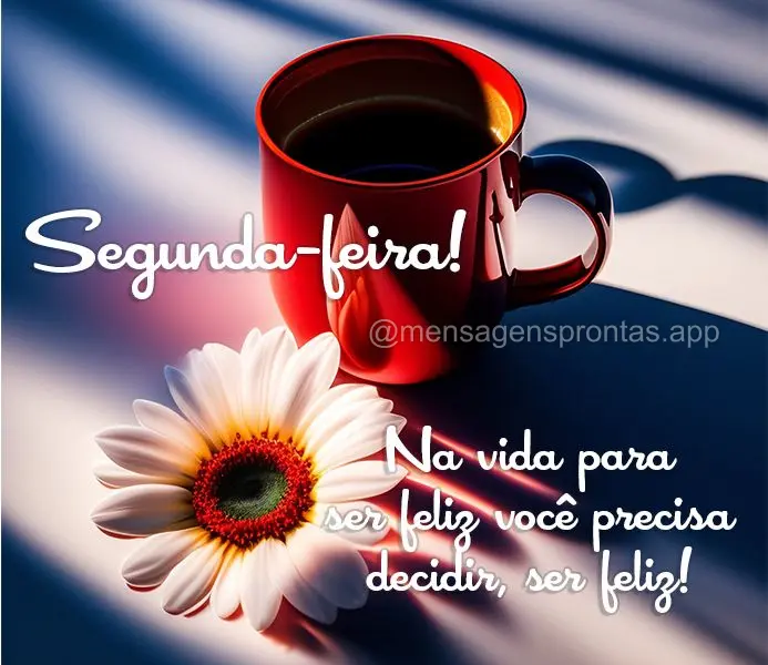 Na vida para ser feliz você precisa decidir, ser feliz! Segunda-feira! 