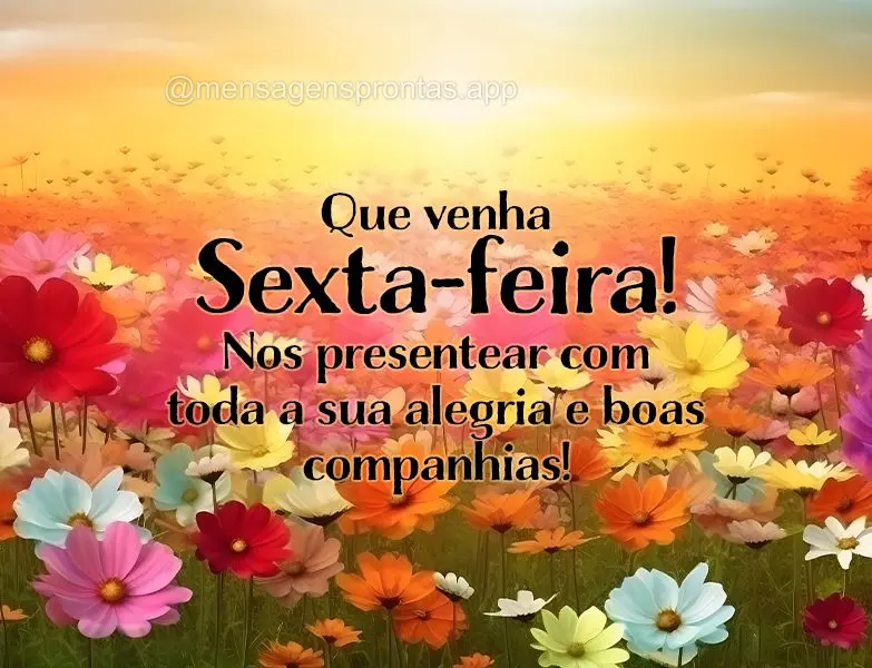 Que venha Sexta-feira! Nos presentear com toda a sua alegria e boas companhias!