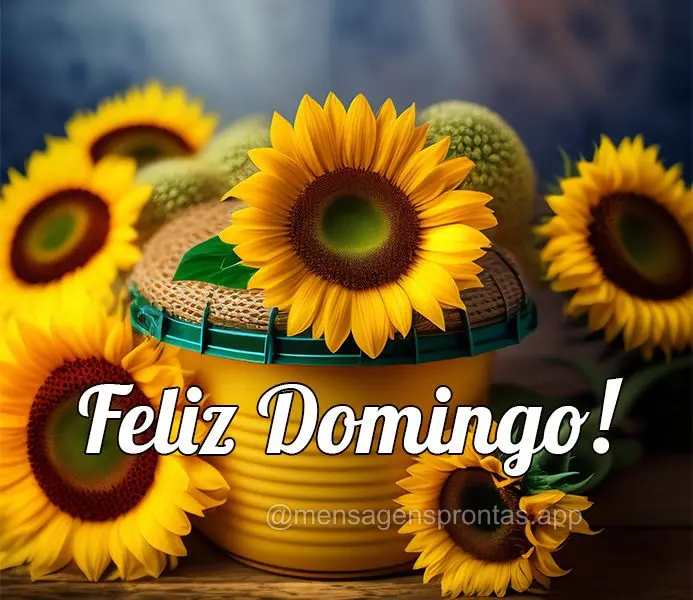 Feliz Domingo!