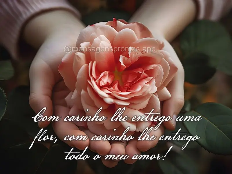 Com carinho lhe entrego uma flor, com carinho lhe entrego todo o meu amor!