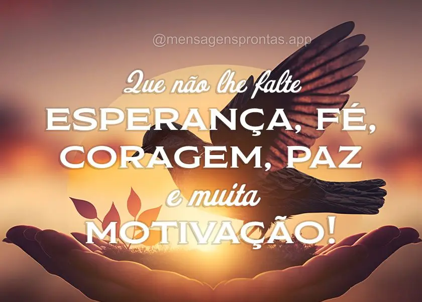 Que não lhe falte esperança, fé, coragem, paz e muita motivação!