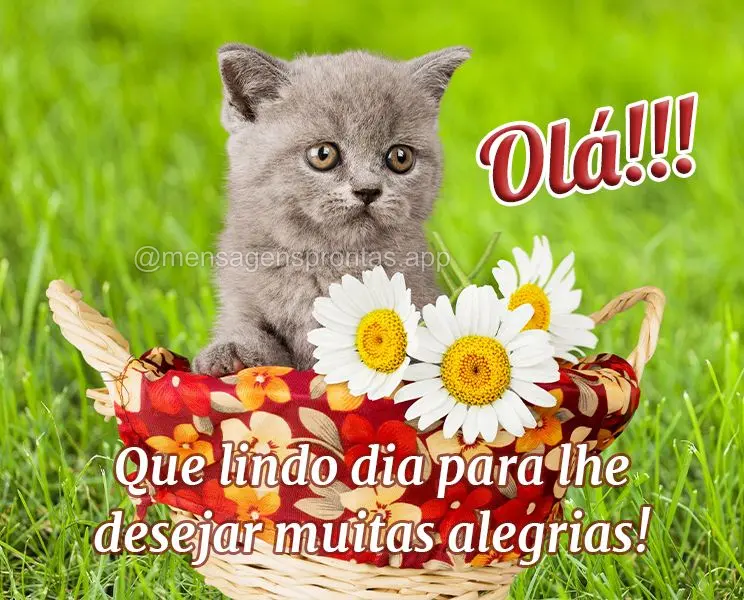 Olá!!! Que lindo dia para lhe desejar muitas alegrias!