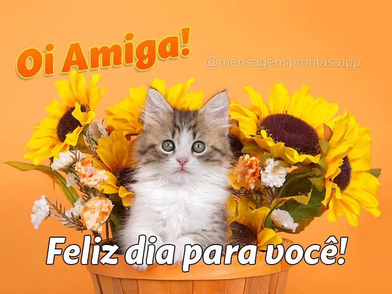 Feliz dia para você! Oi Amiga!