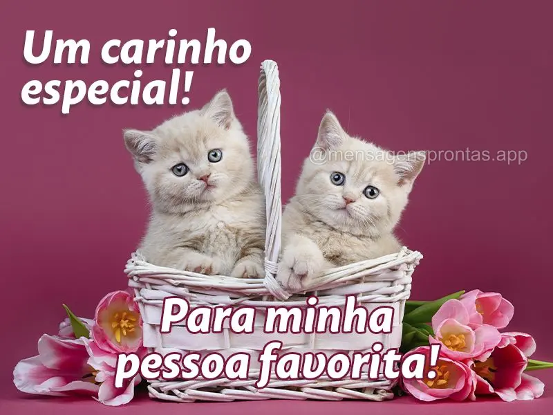 Um carinho especial! Para a minha pessoa favorita!