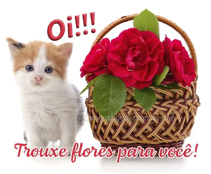 Oi!!! Trouxe flores para você!