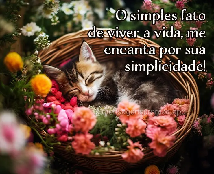 O simples fato de viver a vida, me encanta por sua simplicidade!