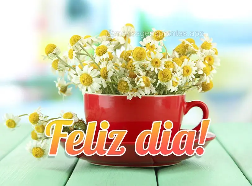 Feliz dia!