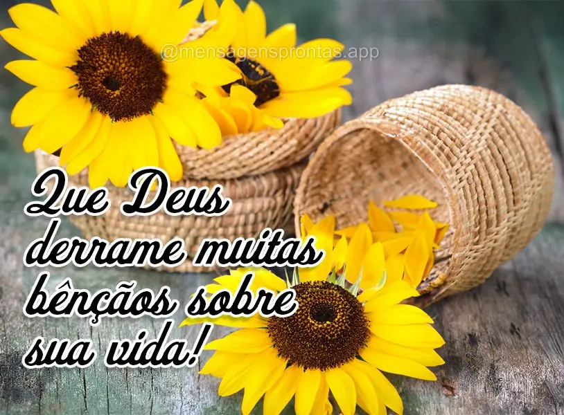 Que Deus derrame muitas bênçãos sobre sua vida!