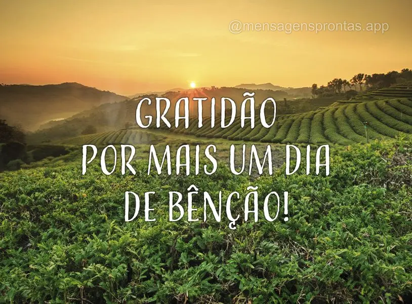 Gratidão por mais um dia de bênção!