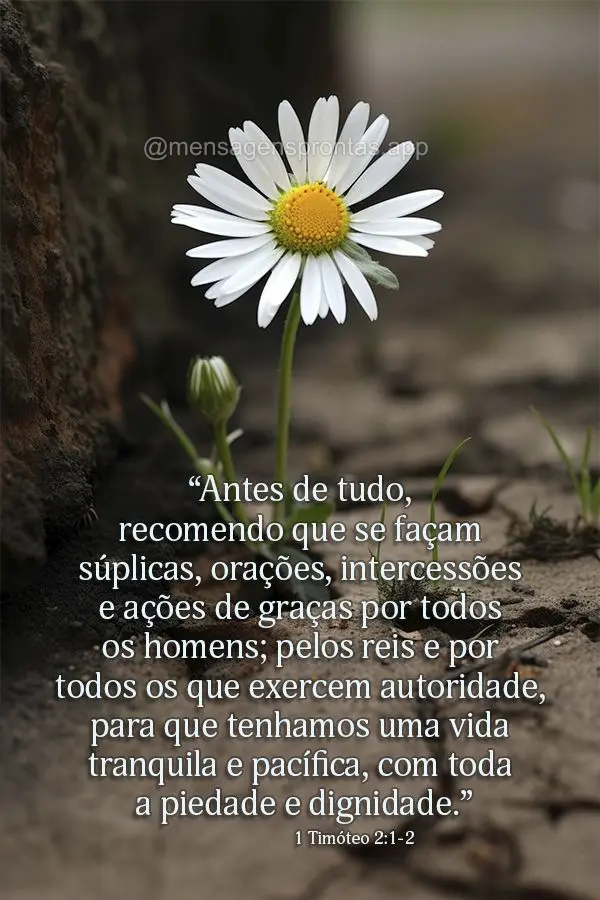 “Antes de tudo, recomendo que se façam súplicas, orações, intercessões e ações de graças por todos os homens; pelos reis e por todos os que exe...