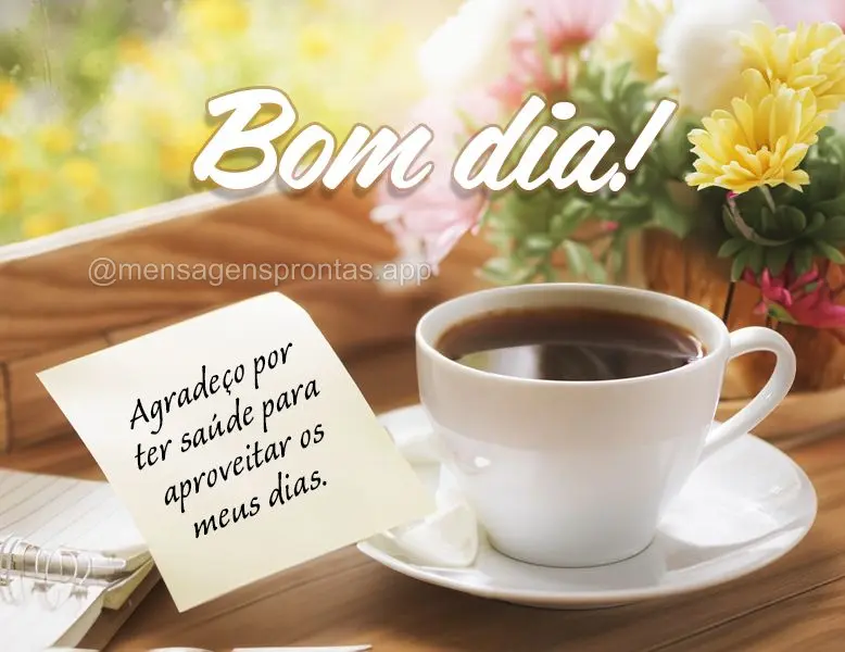 Agradeço por ter saúde para aproveitar os meus dias.  Bom dia!