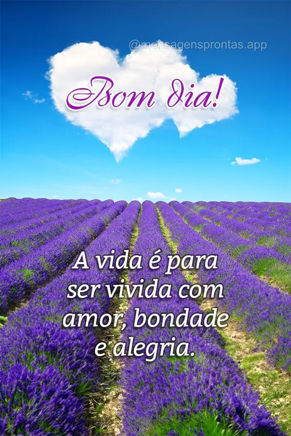 A vida é para ser vivida com amor, bondade e alegria. Bom dia!