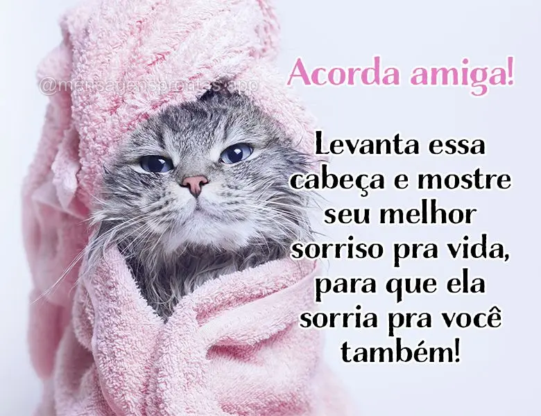 Acorda amiga! Levanta essa cabeça e mostre seu melhor sorriso pra vida, para que ela sorria pra você também!