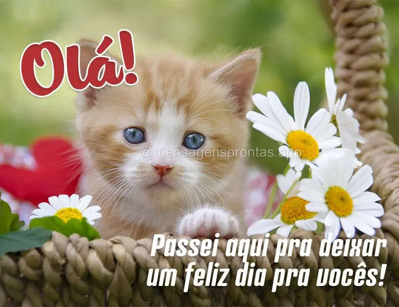 Olá! Passei aqui pra deixar um feliz dia pra vocês!