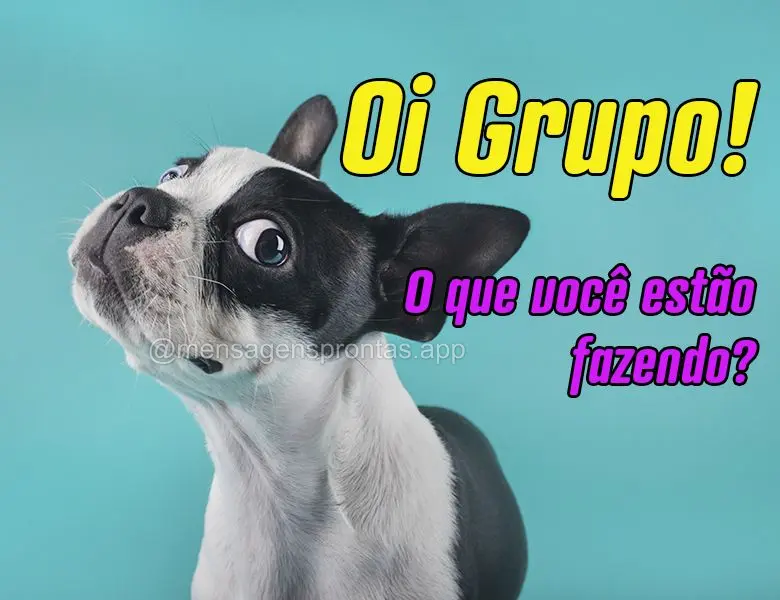 Oi Grupo! O que vocês estão fazendo?