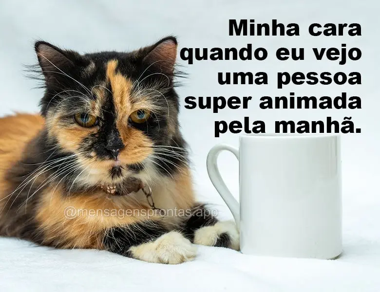 Minha cara quando eu vejo uma pessoa super animada pela manhã.