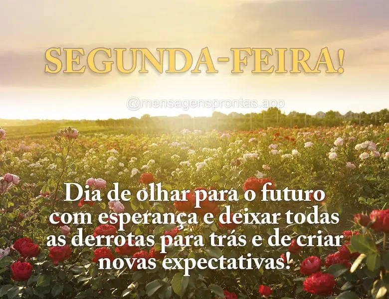 Dia de olhar para o futuro com esperança e deixar todas as derrotas para trás e de criar novas expectativas! Segunda-feira!