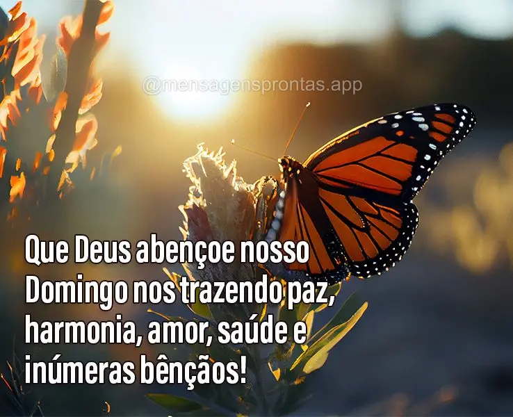 Que Deus abençoe nosso Domingo nos trazendo paz, harmonia, amor, saúde e inúmeras bênçãos!